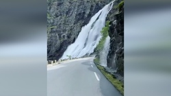 جنگل حرا، عجیب‌ترین جنگل ایران + فیلم