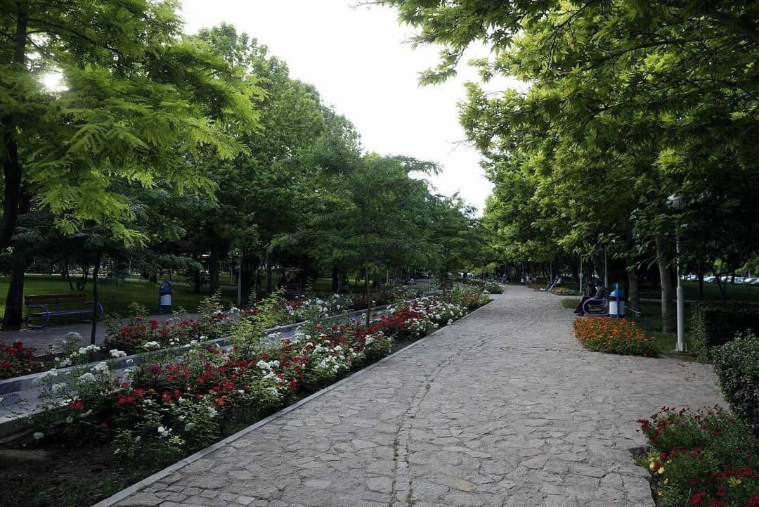  کوهسنگی