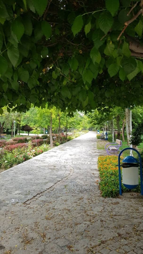 اعجاز بهار در بوستان کوهسنگی