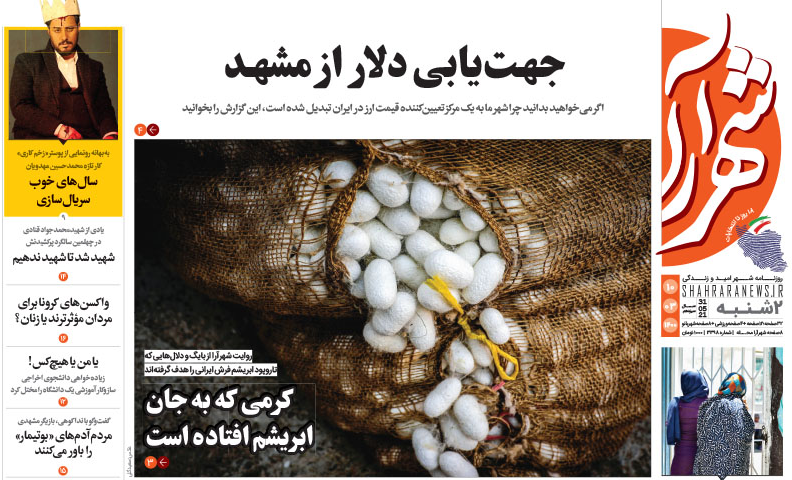 تیتر