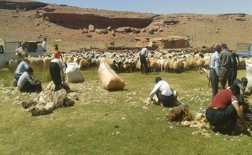 اهالی روستای جوشقان اعتراض اهالی جوشقان به فعالیت معادن در اطراف این روستا