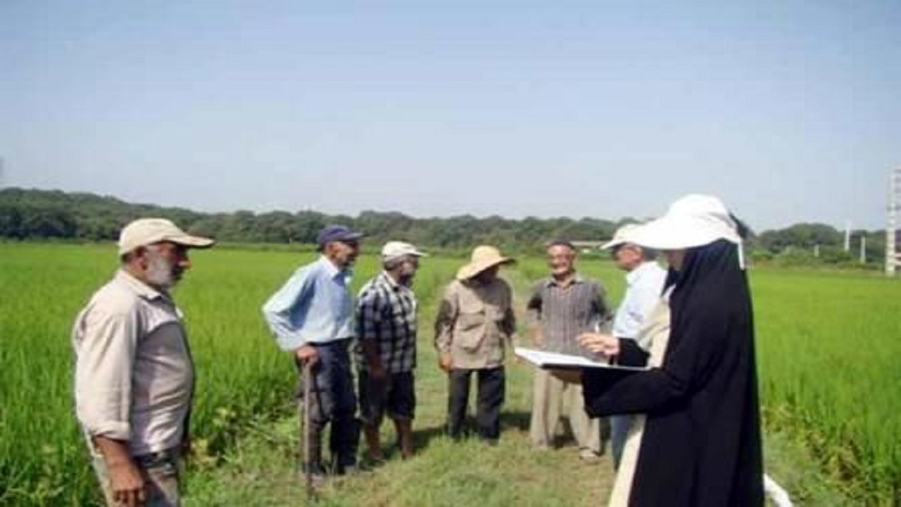 صدور کارت شناسایی برای مددکاران افتخاری در بخش کشاورزی