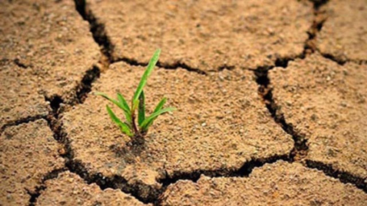 اختصاص ۳ هزار و ۲۲۰ میلیارد تومان برای جبران خشکسالی کشور