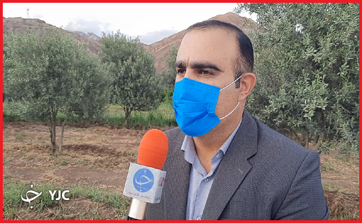 اکبری معاون فنی جهادکشاورزی طارم