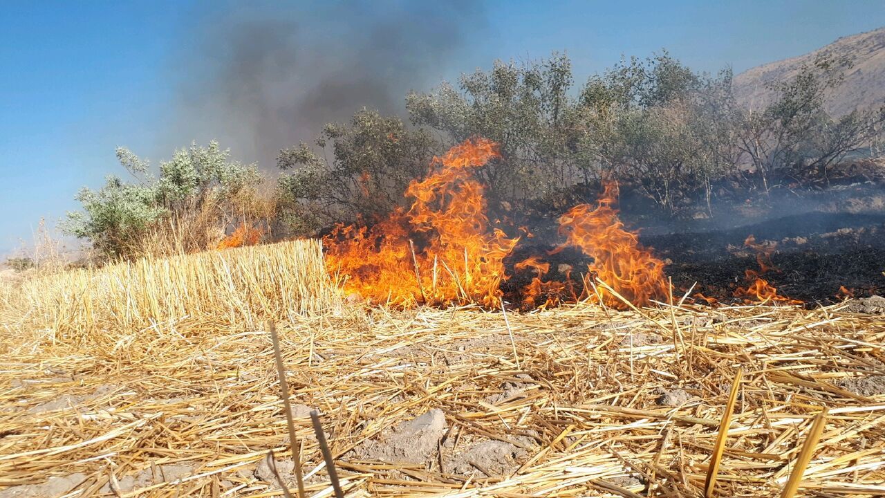 آتش سوزی در ۱۲ هکتار از اراضی کشاورزی چرداول