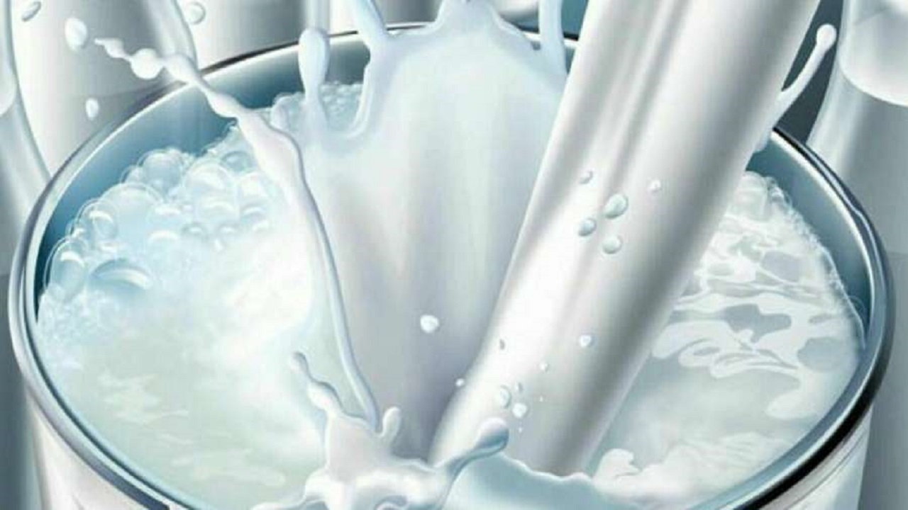 پیش بینی تولید ۶۱۰ هزار تن شیر در آذربایجان شرقی
