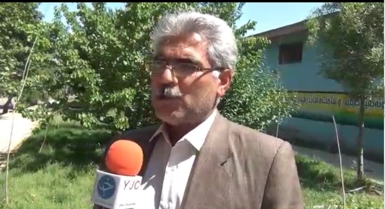 طلای سبز نهاوندی ها به جیب دلالان پاکستانی می رود