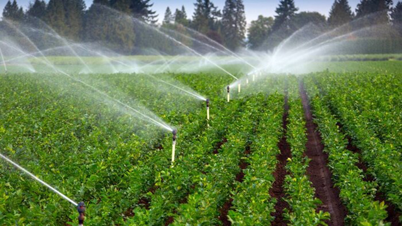 بوروکراسی؛ اصلی‌ترین مانع توسعه آبیاری نوین