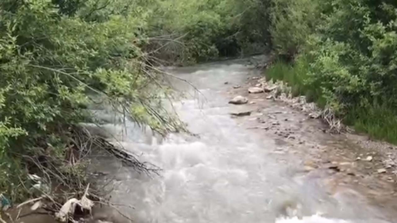 از