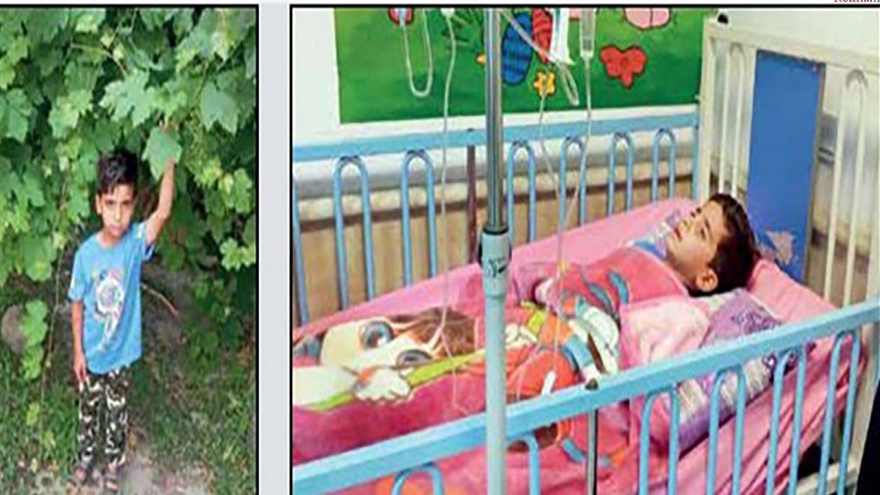ناگفته‌های پدر محمدطا‌ها پس از ۴۸ ساعت ناپدید شدن در جنگل‌های رامیان
