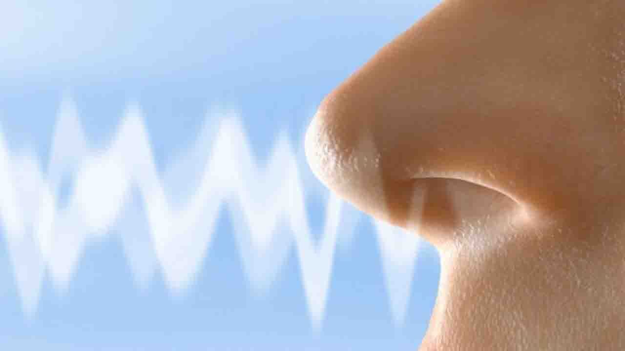 توانایی حس بویایی انسان چقدر است؟