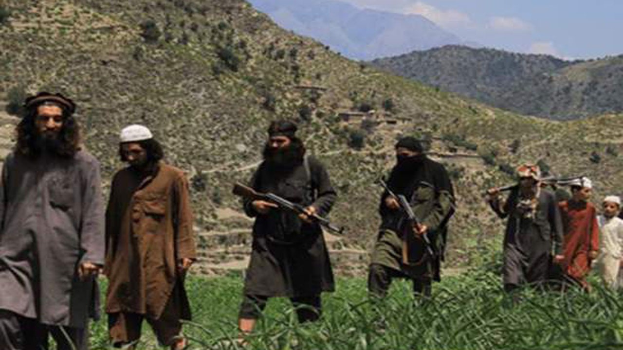 ۶ عضو القاعده در ولایت هلمند کشته شدند
