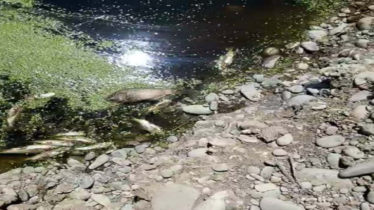 از