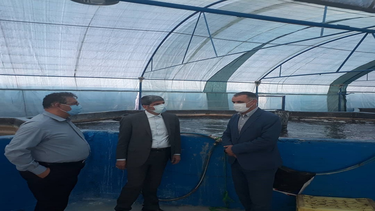 بازدید مديرکل بازرسی سازمان شیلات  از چوئبده