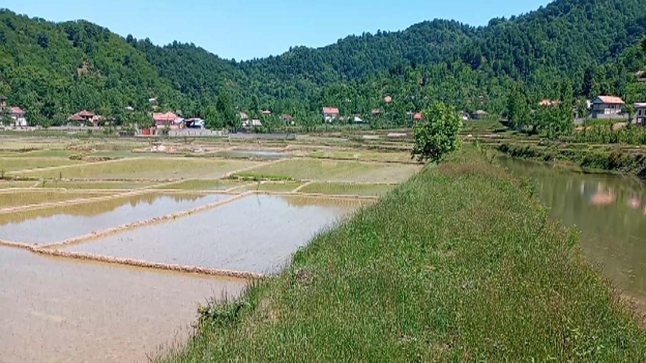چشم‌اندازی زیبا از طبیعت بهاری در روستای گسکره  + فیلم