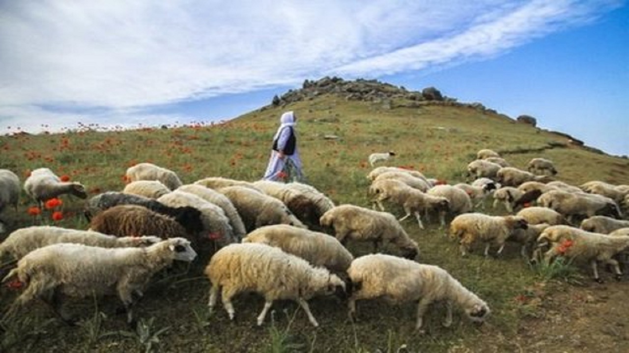 پرداخت ۴۰ میلیارد ریال وام به عشایر نهاوند
