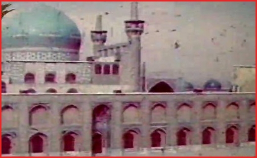 نگاهی به ماجرای مسجد فیل/ورود ممنوع به خاطر کرونا/لحظات نفس&zwnj;گیر فرار محیط بان مازندرانی از دست خرس عصبانی + فیلم