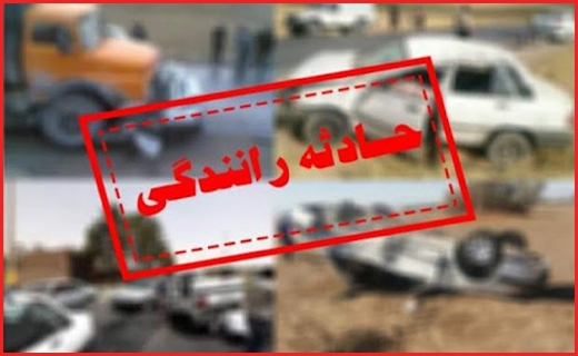 نگاهی به ماجرای مسجد فیل/ورود ممنوع به خاطر کرونا/لحظات نفس&zwnj;گیر فرار محیط بان مازندرانی از دست خرس عصبانی + فیلم