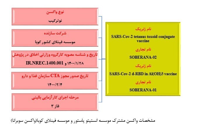 همه آنچه باید درباره 