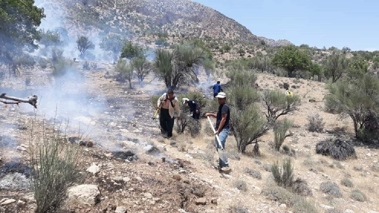 آتش سوزی منطقه بوستان آرام گرفت