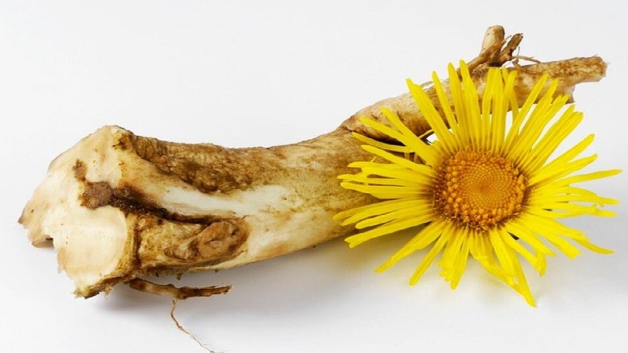 بهترین روغن&zwnj;ها برای فصل گرما/ افکار مزاحم قبل از خواب را اینگونه متوقف کنید