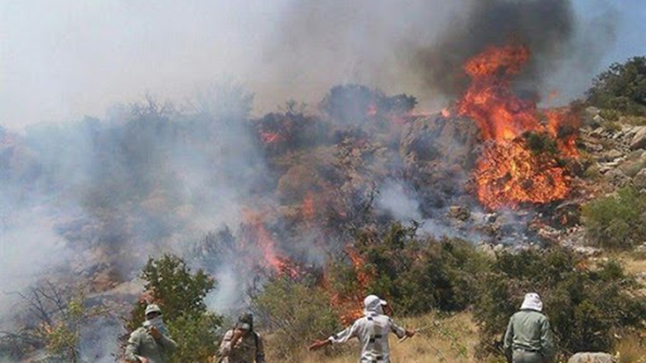 مهار آتش سوزی در شهرستان فسا