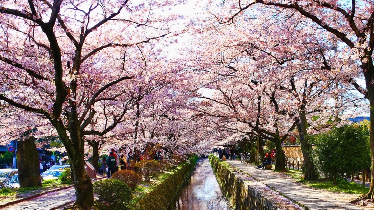 زیباترین خیابان های جهان را بشناسید + تصاویر