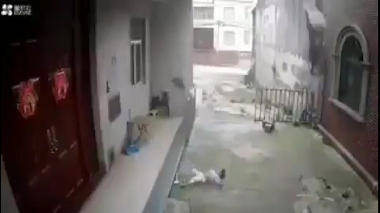 کودکی که بعد از سقوط از ارتفاع جان سالم به در برد!؟ + فیلم