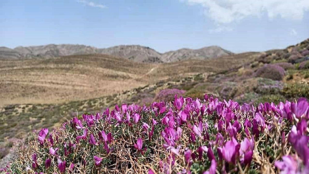 زیبایی‌های مسیر پیمایش قله سوسن، چناران