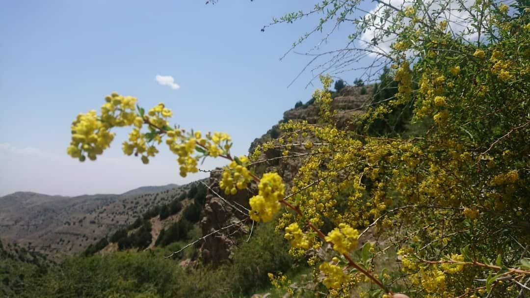 زیباییهای مسیر پیمایش قله سوسن، چناران زیباییهای مسیر پیمایش قله سوسن، چناران