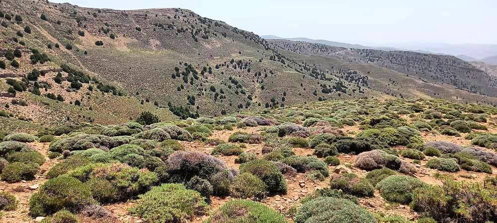 زیباییهای مسیر پیمایش قله سوسن، چناران زیباییهای مسیر پیمایش قله سوسن، چناران