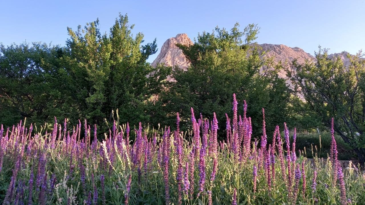 نمایی چشم نواز از طبیعت شهمیرزاد + تصاویر