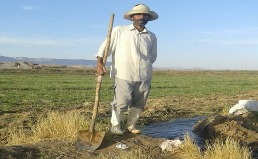 سفر به سرزمین عروس سبزپوش