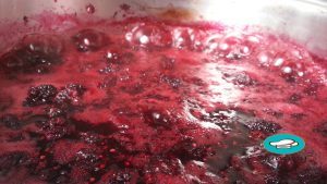 طرز تهیه لواشک شاه توت و زرشک