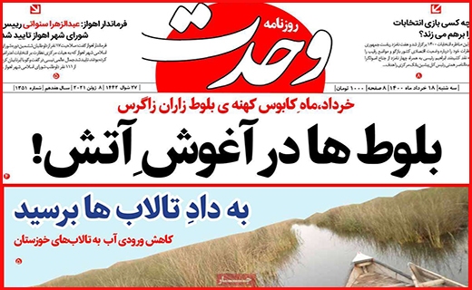 وحدت
