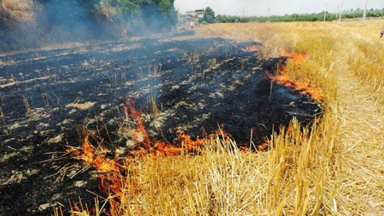 آتش سوزی گسترده در زمین‌های کشاورزی شمال حلب بر اثر حملات ترکیه