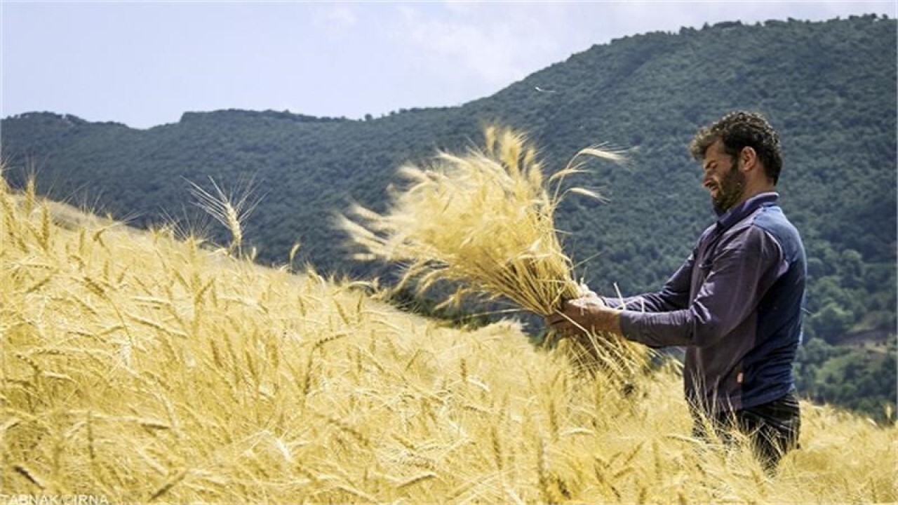 ۵۵۲ روستای استان خراسان شمالی مشمول دریافت زکات هستند