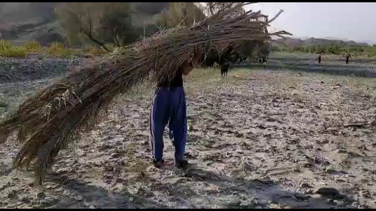 سایه بان‌هایی که ناجی دانش آموزان شدند/ اینترنت ضعیف صدای دانش آموزان را درآورد