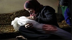 نخستین تصاویر منتشر شده از جنایت هولناک در فلوریدا