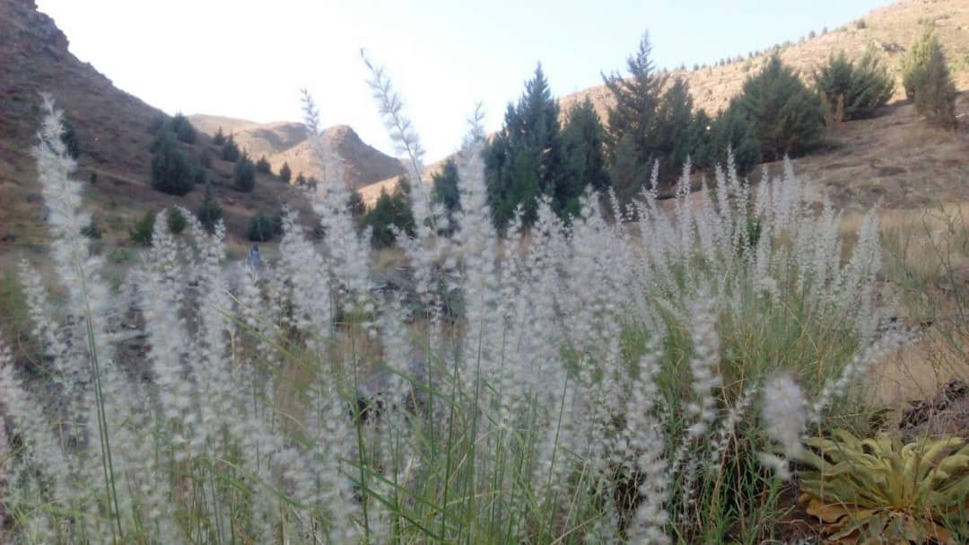 گردشگری گردشگری