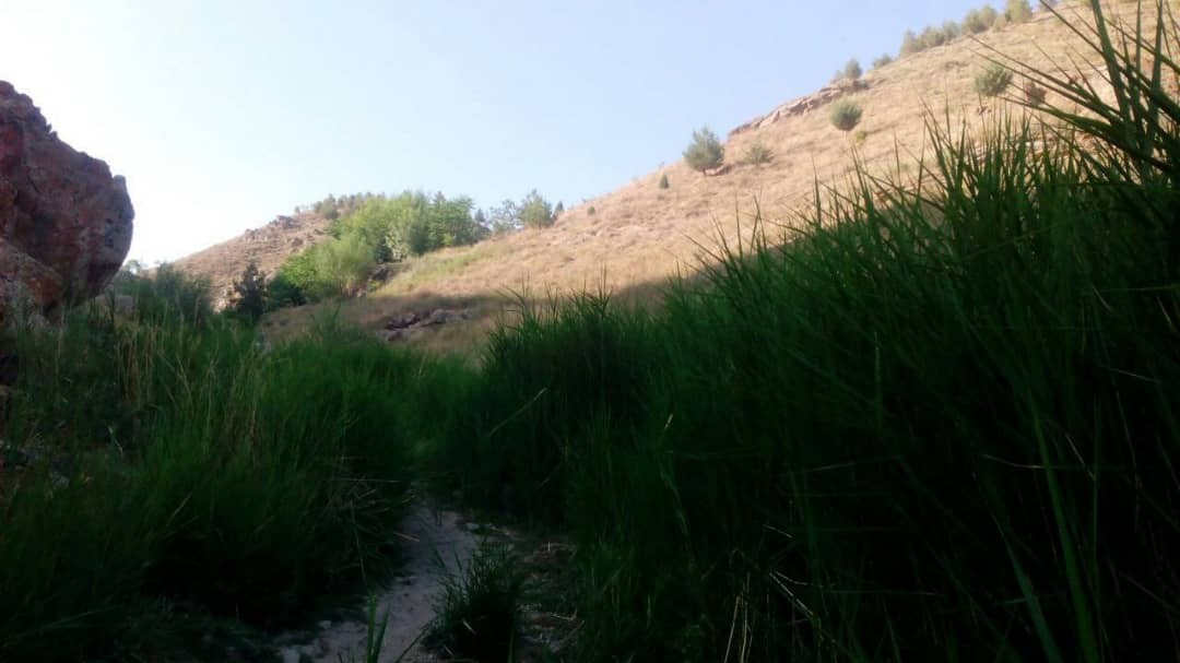ییلاقی ییلاقی