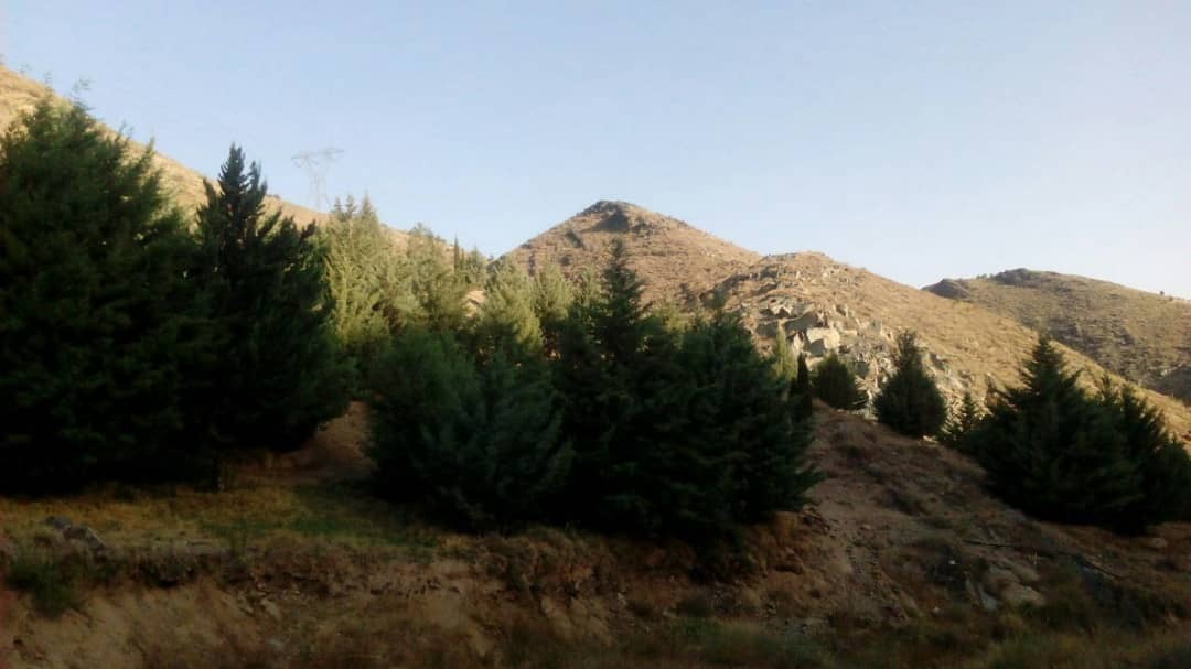 دره زیبا دره زیبا