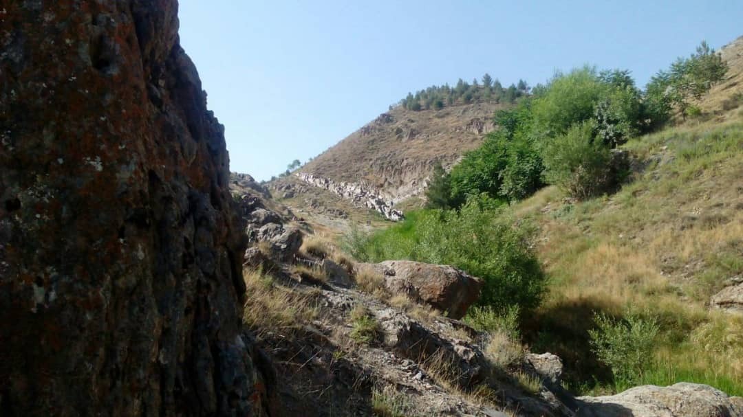 کوهستانی کوهستانی