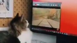 خلاقیت دیدنی یک تدوینگر در تولید فیلم