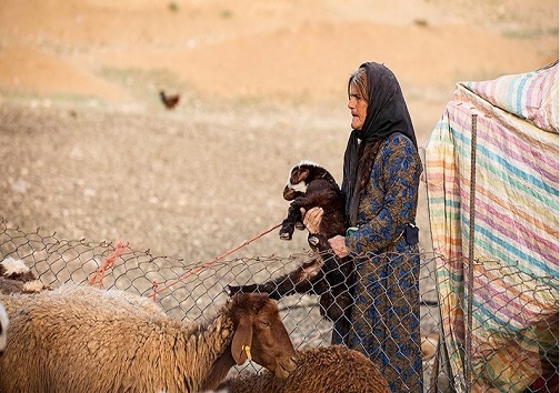 عشایر