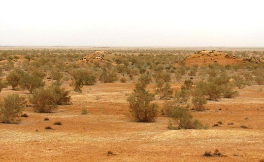 مقابله با بیابان زایی سهم اعتبارات مقابله با بیابان زایی کشور هنوز ابلاغ نشده است