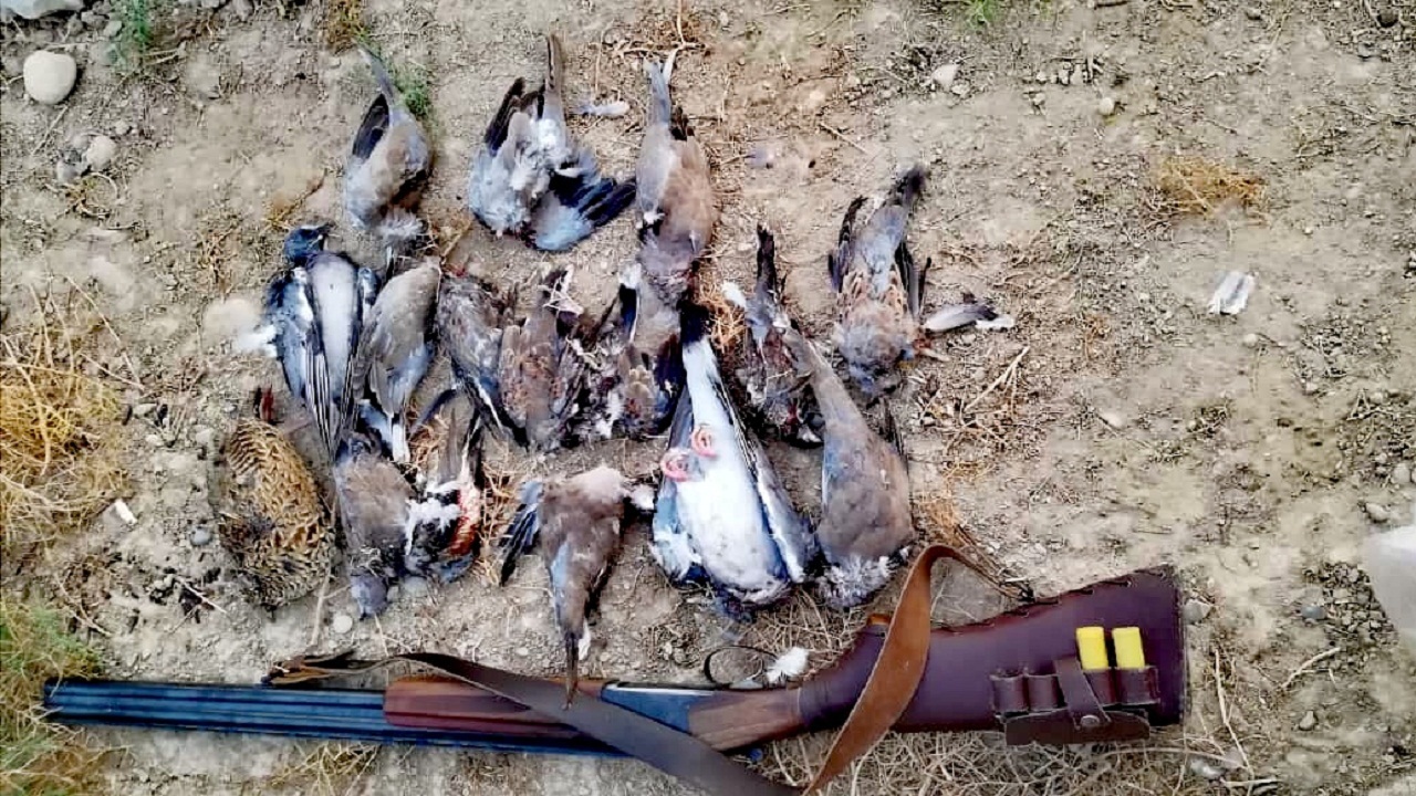 شکارچی پرندگان در ایذه به دام افتاد