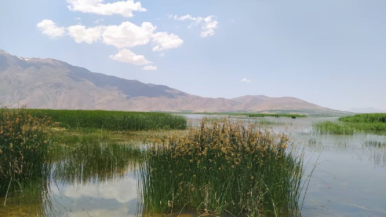 پیش بینی جوی پایدار در چهارمحال و بختیاری