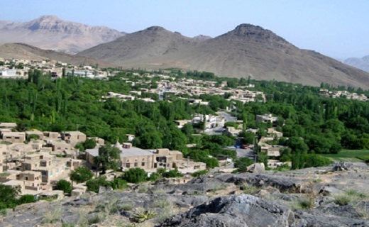 طعم خوش شاتوت کاشان در میراث ملی؛ شاه میوه پردرآمدِ باغداران برزکی
