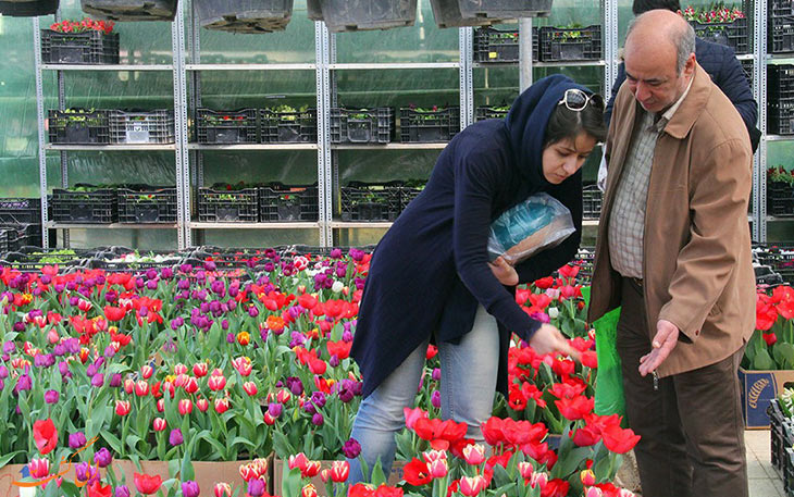 بازار گلهای تهران، آدرس، ساعتکار و مشخصات بازار گلهای تهران، آدرس، ساعتکار و مشخصات